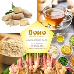 ขิงผง, Ginger Powder, ขิงผงไทยแลนด์, Thailand ginger, ผงขิง, Powdered Ginger