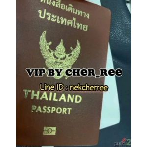 Vipสิงคโปร์ บินฟรี งานดี เงินปัง