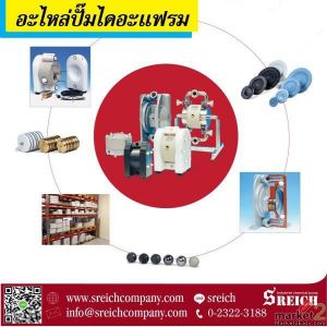 ขายอะไหล่ปั๊มไดอะแฟรมยุโรป spare part Diaphragm Pump 023223188