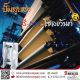 ปั๊มเคมีสำหรับอุตสาหกรรมสี กาว หมึก งานชุบ งานพิมพ์ กระดาษ Industrial pumps